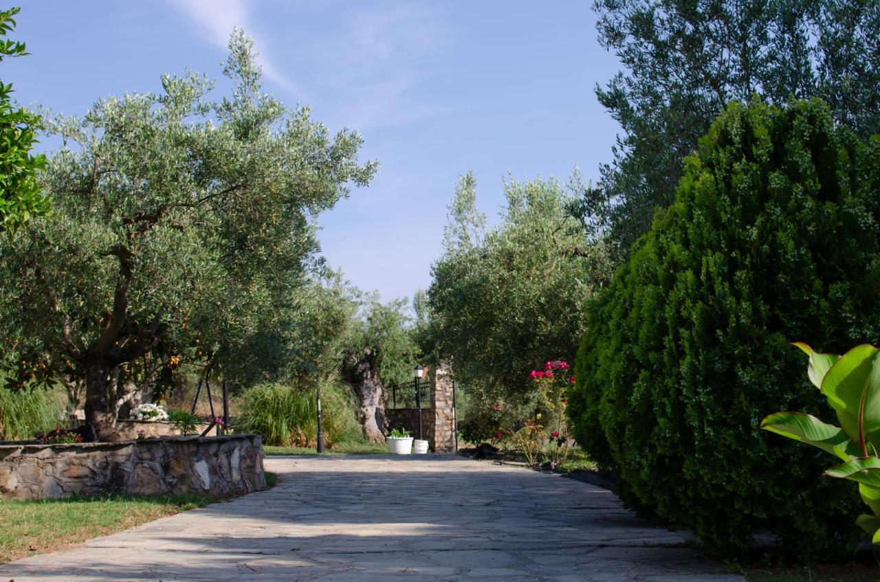Hotel Makis House Nikiti  Exteriér fotografie