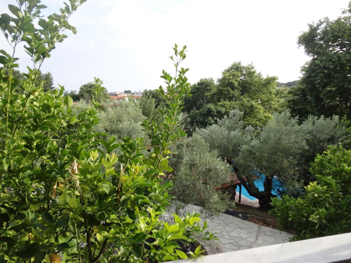 Hotel Makis House Nikiti  Exteriér fotografie